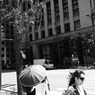 刺光