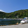波浮港