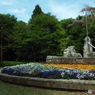 大花壇20