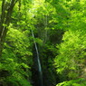 旅写真　白糸の滝