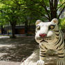 marunouchi-236