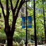 marunouchi-238