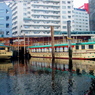 東京7