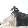 皇居東御苑3