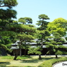 皇居東御苑6