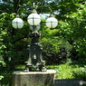 皇居東御苑7