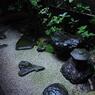 雨音を聴きながら