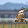 Take off