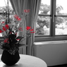 窓辺の赤い花