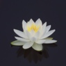 白の時間