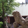 狛犬_住吉神社(佃島)