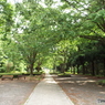 智光山公園1