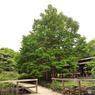 DSCF0799