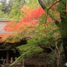 本堂　室生寺03
