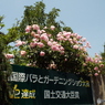 グリーンフィンガーカフェ16