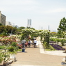 山下公園1