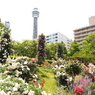 山下公園2