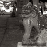 黒川神社 例大祭１