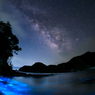 夜光虫*2