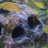 水族館