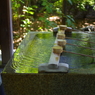 手水舎_阿佐ヶ谷神明宮