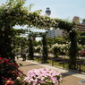 山下公園11