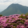 深山霧島と由布岳