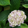 DSC00040
