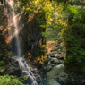 20150815IMG_4238-2