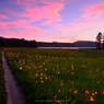sunset in oze
