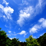 夏雲