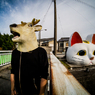 ええ、猫とツーショットです。