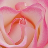 softly
