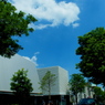 東京8