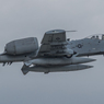 Thunderbolt2 A-10 5