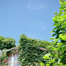 体温プラス10度C (08)