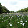 北山公園2