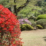 八幡山公園