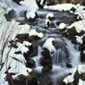 帰らざる河
