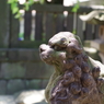 狛犬_高輪神社