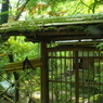 東京16