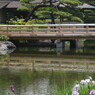 身近な風景　昭和記念公園