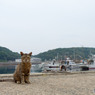 梅雨の日の大沢くん