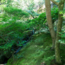 順路小川