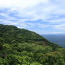 清き青（大瀬崎）