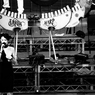 Earth Harp Show 43