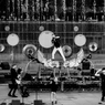 Earth Harp Show 46
