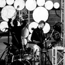 Earth Harp Show 49