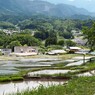 棚田のある風景