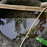 つくばい4種_林芙美子記念館